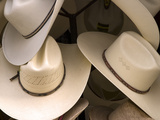 Rack with Assortment of Stylish Mexican Hats, Puerto Vallarta, Mexico Photographic Print by Nancy & Steve Ross