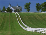 Double White Fence Flows from an Elegant Horse Barn, Woodford County, Kentucky, USA Photographie par Dennis Flaherty