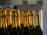 Bottles of Sparkling Wine, Bodega Carlos Pizzorno Winery, Canelon Chico, Canelones, Uruguay Photographic Print by Per Karlsson