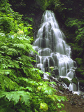 Fairy Falls Tumbling Down Basalt Rocks, Columbia River Gorge National Scenic Area, Oregon, USA Lámina fotográfica por Steve Terrill