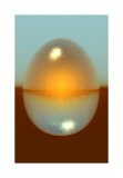 Radiant Ovoid Limited Edition by Menaul 