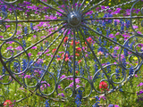 Wheel Gate and Fence with Blue Bonnets, Indian Paint Brush and Phlox, Near Devine, Texas, USA Photographie par Darrell Gulin