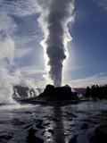 Castle Geyser at Sunrise in Yellowstone National Park, Wyoming, USA Photographic Print by Diane Johnson