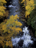 Autumn, Ontonogan River, Upper Peninsula, Michigan, USA Photographic Print by Mark Carlson
