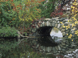 Trees by Pond and Stone Bridge at Hecksher Museum, Long Island, New York, USA Lámina fotográfica por John & Lisa Merrill