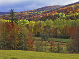 Autumn Tree Colors and Lone Horse in the Green Mountains, Vermont, USA Photographic Print by Dennis Flaherty
