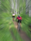 Zoom Effect of Mountain Bike Racers on Trail in Aspen Forest, Methow Valley, Washington, USA Lámina fotográfica por Steve Satushek Zoom Effect of Mountain Bike Racers on Trail in Aspen Forest, Methow Valley, Washington, USA Lámina fotográfica por Steve Satushek