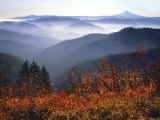 View of Mount Hood with Wild Huckleberry Bushes in Foreground, Columbia River Gorge, Washington, US Lámina fotográfica por Steve Terrill