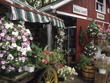 Farm Stand in Red Barn with Flowers, Long Island, New York, USA Photographie par John & Lisa Merrill