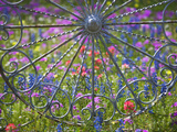 Wheel Gate and Fence with Blue Bonnets, Indian Paint Brush and Phlox, Near Devine, Texas, USA Photographic Print by Darrell Gulin