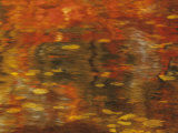 Abstract of Autumn Leaves and Reflections in Water, Lake Chippewa, Wisconsin, USA Photographic Print by Richard Hamilton Smith
