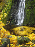 Starvation Creek Falls Creates a Maple Leaf Whirlpool on Water Photographie par Steve Terrill