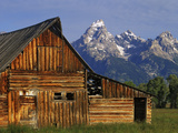 Weathered Wooden Barn Along Mormon Row with the Grand Tetons in Distance, Grand Teton National Park Fotografie-Druck von Dennis Flaherty
