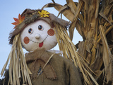Scarecrow and Dead Corn Husks, Carnation, Washington, USA Lámina fotográfica por John & Lisa Merrill