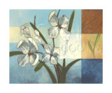 Flower Patch II Limited Edition