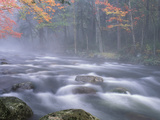 Big Moose River Rapids in Fall, Adirondacks, New York, USA Fotografie-Druck von Nancy Rotenberg