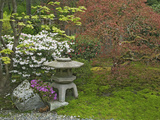 Japanese Garden at the Washington Park Arboretum, Seattle, Washington, USA Photographic Print by Dennis Flaherty