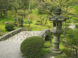 Japanese Garden at the Washington Park Arboretum, Seattle, Washington, USA Photographic Print by Dennis Flaherty