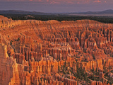 View of the Hoodoos or Eroded Rock Formations in Bryce Amphitheater, Bryce Canyon National Park Fotografie-Druck von Dennis Flaherty