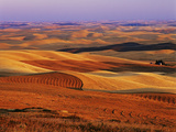 View of Colorful Palouse Farm Country at Twilight, Washington, USA Photographie par Dennis Flaherty