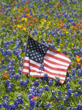 American Flag in Field of Blue Bonnets, Paintbrush, Texas Hill Country, USA Photographic Print by Darrell Gulin