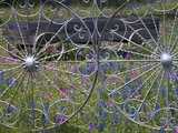 Wheel Gate and Fence with Blue Bonnets, Indian Paint Brush and Phlox, Near Devine, Texas, USA Lámina fotográfica por Darrell Gulin