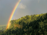Springtime Rainbow Arching Over Vista House on Crown Point Lámina fotográfica por Steve Terrill Springtime Rainbow Arching Over Vista House on Crown Point Lámina fotográfica por Steve Terrill