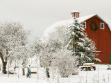 Red Barn in Fresh Snow, Whidbey Island, Washington, USA Photographie par Trish Drury