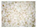 Grains Close up Prints by Nicole Katano