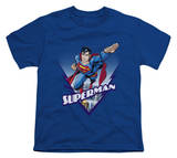 Youth: Superman - This Looks Like a Job for T-shirts