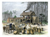 Turpentine Distillery in North Carolina, c.1870 Giclee Print
