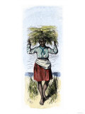 African-American Woman Carrying Sheaves on a Rice Plantation Giclee Print