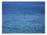 Aqua Waters III Prints by Nicole Katano