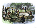 Plantation Slaves Loading Rice to a Barge on the Savannah River, 18th Century Giclee Print