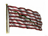 Colonists' Rattlesnake Flag with Don't Tread on Me Slogan Lámina giclée Colonists' Rattlesnake Flag with Don't Tread on Me Slogan Lámina giclée