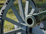 Revolutionary War French Cannon Called the Fox, Yorktown Battlefield, Virginia Photographic Print