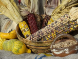 Squash, Corn, and Beans: the Three Sisters of Native American Agriculture Photographic Print