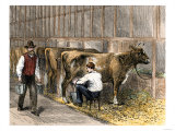 Milking-Time in a Dairy Barn, c.1870 Giclee Print