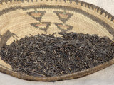 Wild Rice from the Great Lakes Area Photographic Print