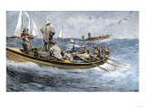 Dories Racing for a School of Fish, Atlantic Ocean, c.1880 Giclee Print
