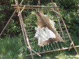 Deer Hide Stretched on Sapling Frame to Be Scraped and Tanned, Heritage Hill, Green Bay, Wisconsin Fotografie-Druck