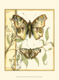 Tandem Butterflies I Print by Jennifer Goldberger