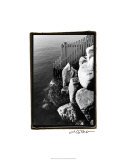 Fenced In Giclee Print by Laura Denardo