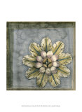 Rosette and Damask II Print by Jennifer Goldberger