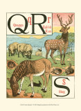 Noah's Alphabet V Posters by Walter Crane