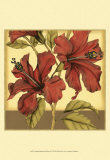 Cropped Sophisticated Hibiscus II Prints by Jennifer Goldberger Cropped Sophisticated Hibiscus II Prints by Jennifer Goldberger