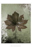 Dry Leaf I Posters by Patricia Quintero-Pinto