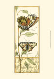 Tandem Butterflies III Pôsters por Jennifer Goldberger Tandem Butterflies III Pôsters por Jennifer Goldberger