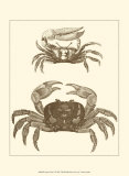 Sepia Crabs I Prints