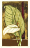 Moonlit Foliage II Poster by Jennifer Goldberger Moonlit Foliage II Poster by Jennifer Goldberger